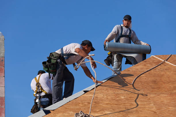 Gutter Installation and Roofing in Hazel Green, AL